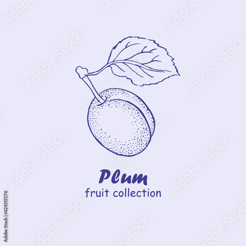 Plum, fruits , logo, plum branch , plums , doodle ,line art, sketch, drawing, illustration, plums and leaves, package logo