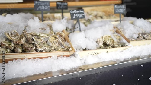 Oysters on a market display in containers