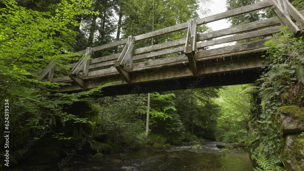Wooden foot bridge over creek,part of hiking trails in Black Forest Wooden foot bridge over creek,part of hiking trails in Black Forest