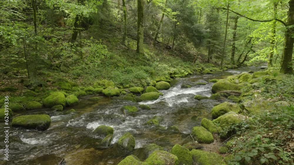 Beautiful flow of river stream on rocks in peaceful lush green forest Beautiful flow of river stream on rocks in peaceful lush green forest