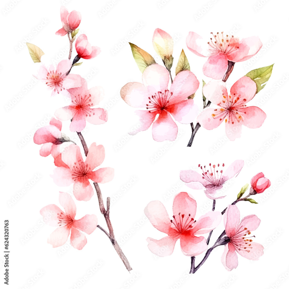 vector set of cherry blossom flowers, pink sakura flower and leaves vector set of cherry blossom flowers, pink sakura flower and leaves