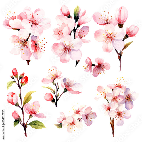 vector set of cherry blossom flowers  pink sakura flower and leaves