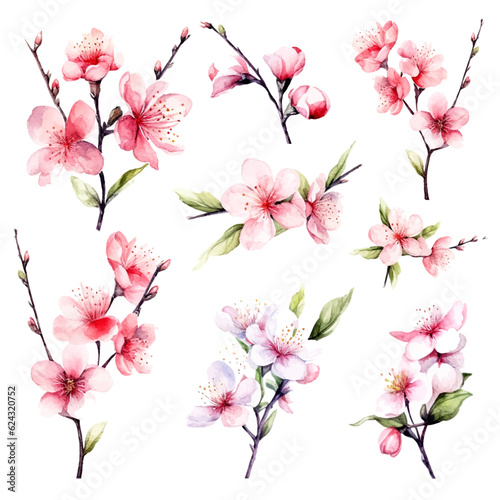 vector set of cherry blossom flowers  pink sakura flower and leaves