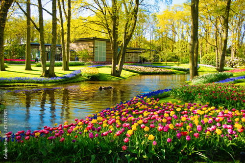 Canvas-taulu A garden of pink in Kenkephon, yellow and red tulips in the foreground on the bank of the canal where the tulip museum building stands on the other bank