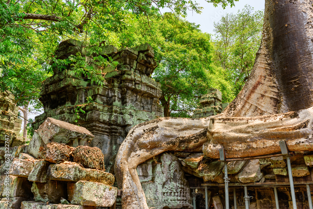 Ruins of Ta Prohm temple in Angkor, Cambodia Ruins of Ta Prohm temple in Angkor, Cambodia