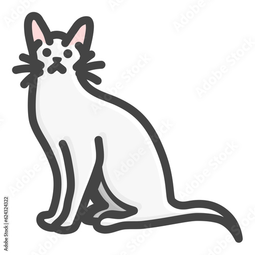 cat