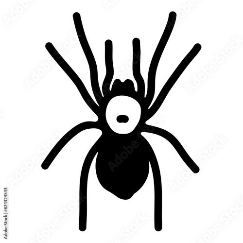spider