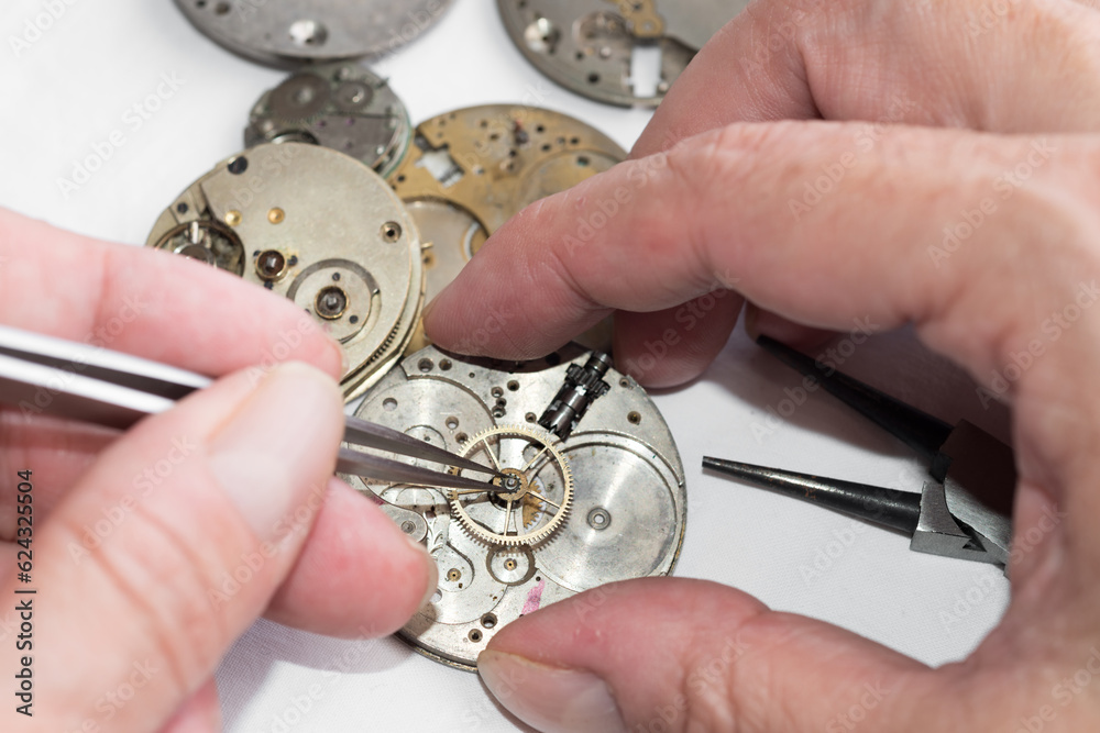 Timeless Precision: A Watchmaker's Artistry in Action
