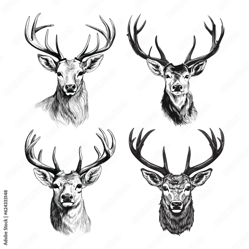 Hand-drawn set of Deer vector illustration Hand-drawn set of Deer vector illustration