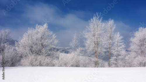 Wallpaper Mural winter scenery with forest in hoar frost. landscape with trees on snow covered hills Torontodigital.ca