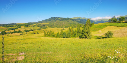 rural landscape with grassy meadows and pastures. trees on the hill and mountains in the distance on a sunny morning