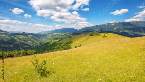 grassy meadow landscape of ukrainian mountains. summer scenery of carpathian countryside on a warm sunny day
