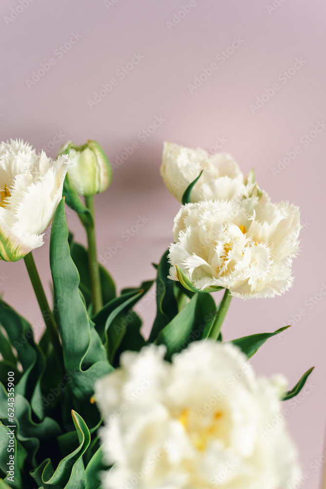 Fototapeta premium Mockup of beautiful white tulips on a pink background.
