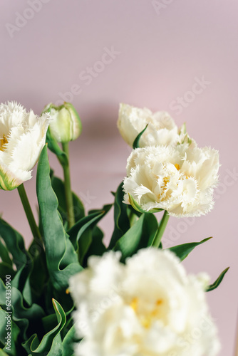 Mockup of beautiful white tulips on a pink background.