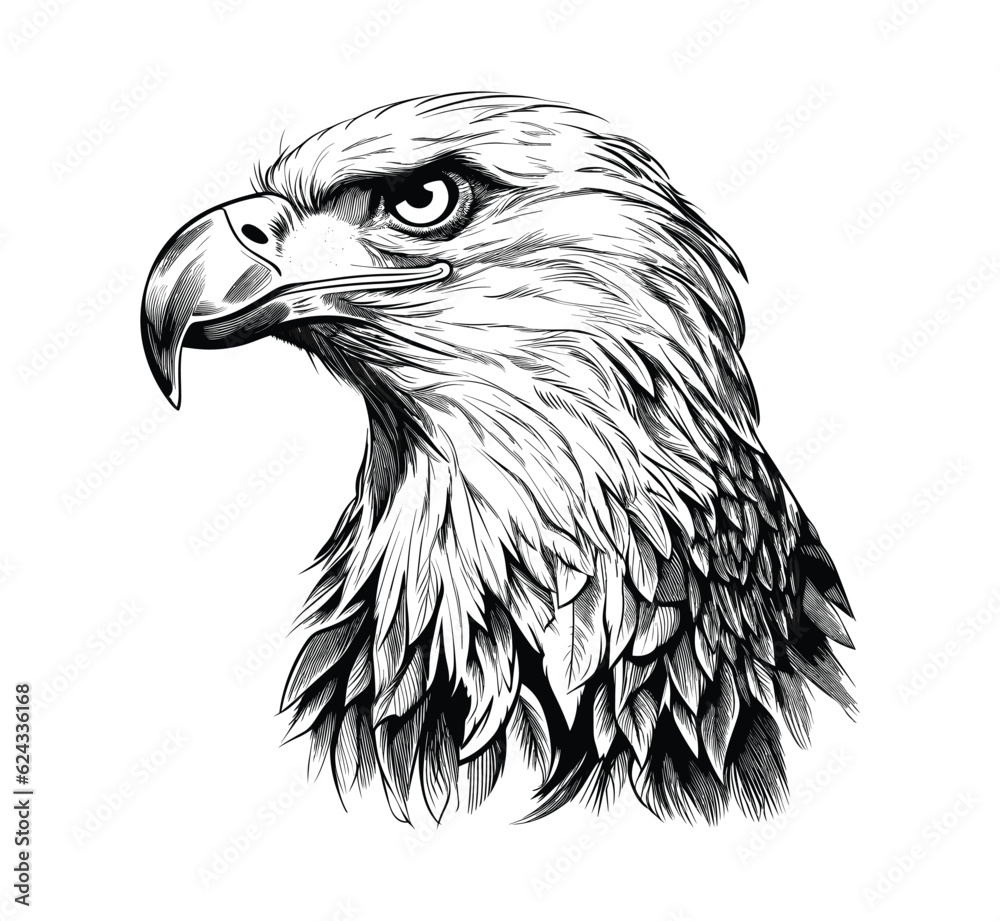 Obraz premium Sketch eagle hand drawn vector illustration 