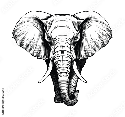 Hand drawn elephant illustration vector

