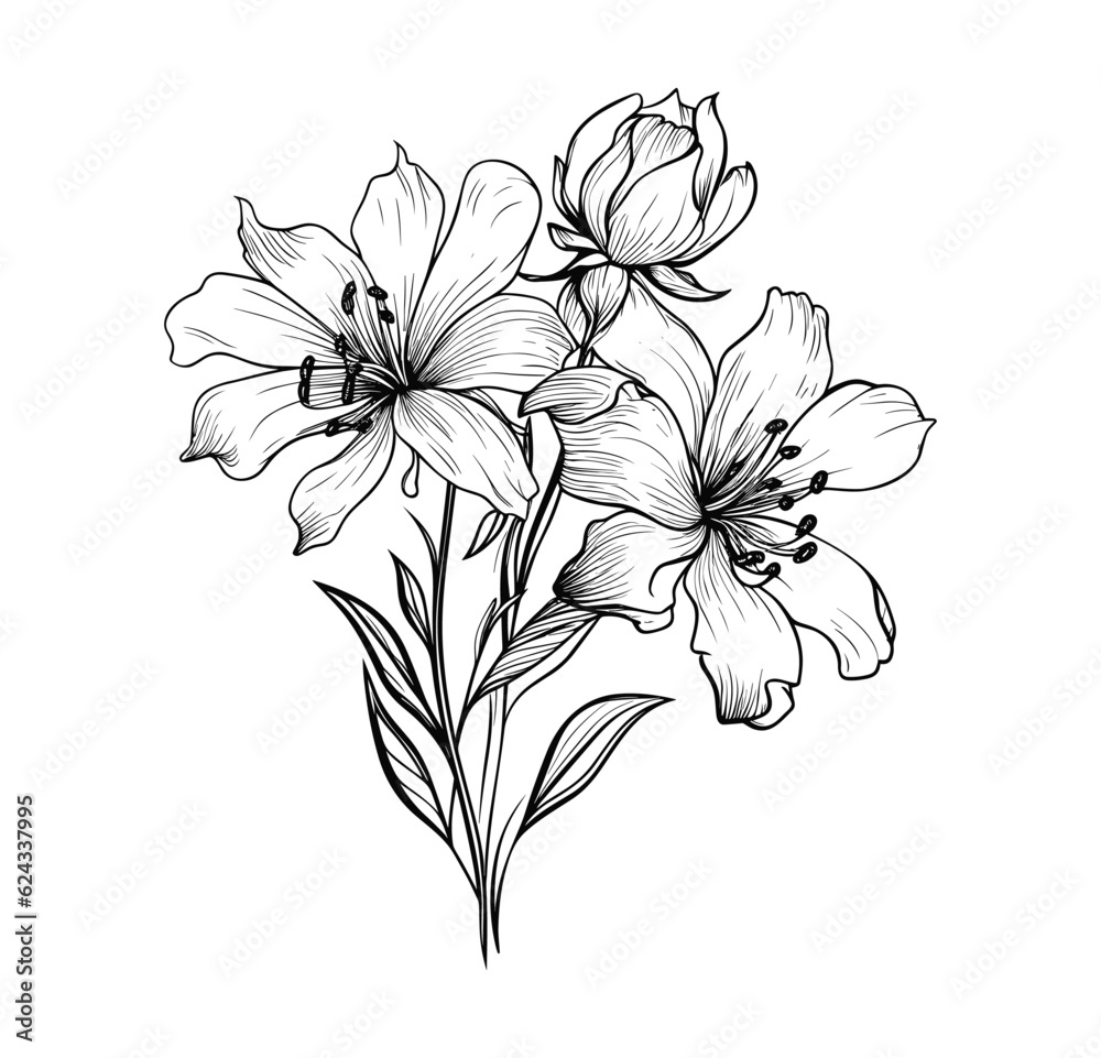 Hand drawn wild flower vector

