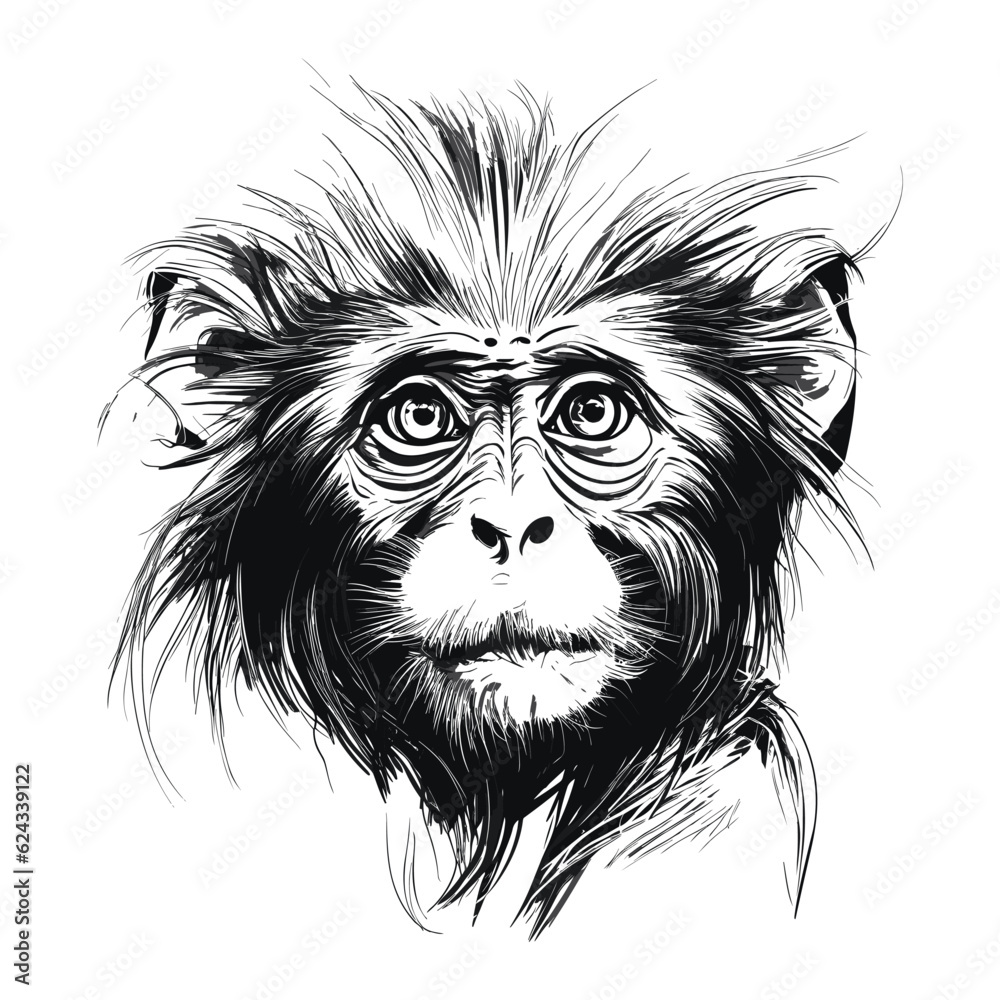 Fototapeta premium Monkey in doodle hand drawn style 