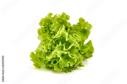 Lettuce Salad leaves, isolated on white background.