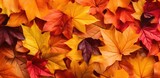 A lot of colorful leaves. Naturalistic tones. Generative AI