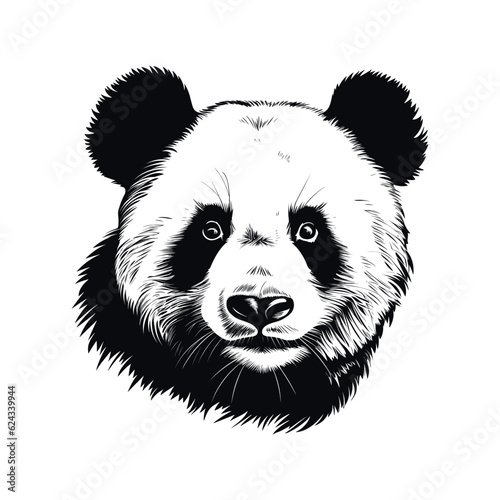 Hand drawn panda outline illustration