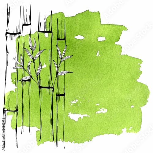Bamboo drawn in graphics on a gentle green watercolor stain. Hand drawn illustration isolated on white background. Template banner, cards, flyers for spa and yoga design.