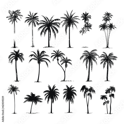 Hand drawn palm trees collection