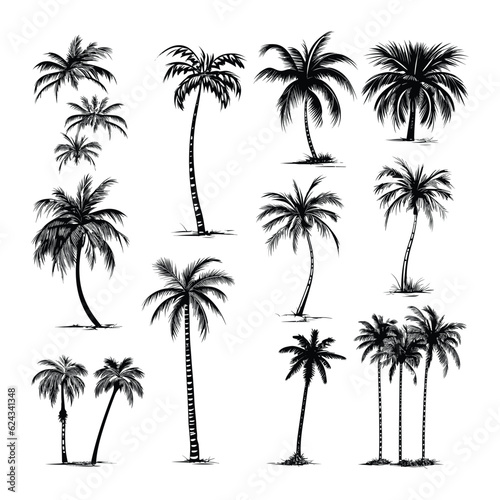 Hand drawn palm trees collection