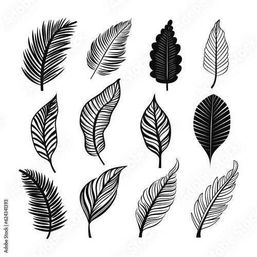 Hand drawn tropical leaf collection