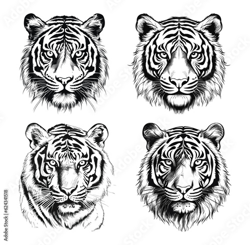 Hand drawn tiger head collection vector illustration
