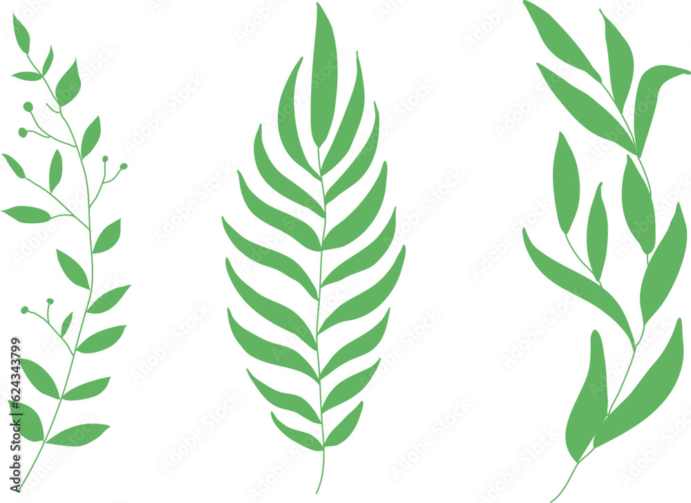 Fototapeta premium Elegant thin twigs of plants. Green curly leaves. Leaves and twigs on a white background. Set of green herbs.Minimal feminine botanical floral branch in silhouette style. Hand drawn wedding herb