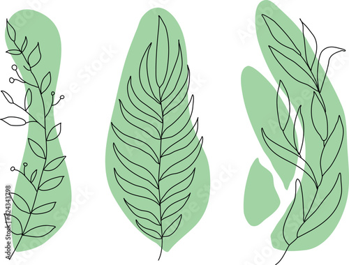 Collection sketch twigs. Hand drawn vector floral elements  collection forest fern eucalyptus art foliage natural leaves herbs in line style. Decorative beauty elegant illustration for design 