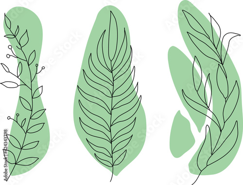 Collection sketch twigs. Hand drawn vector floral elements, collection forest fern eucalyptus art foliage natural leaves herbs in line style. Decorative beauty elegant illustration for design 