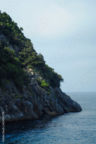 rock and sea