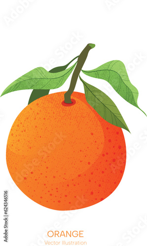 Orange vector drawing. Isolated hand drawn full pear. Texture.	