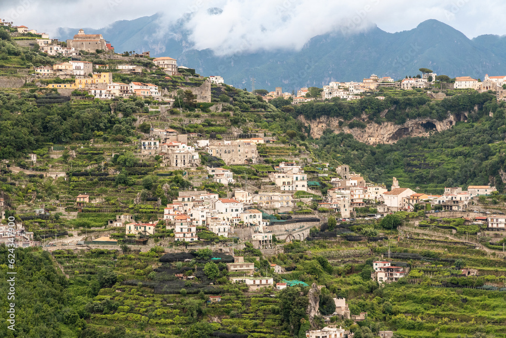Agriculture plantation activities on terrace hill along Amalfi coast in Italy