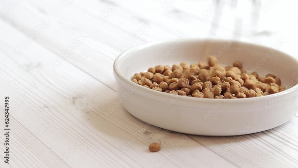 Pour cat food into a bowl, side view. Pet food. Dry pet food falls into the bowl. White bowl for an animal on a light wooden background Pour cat food into a bowl, side view. Pet food. Dry pet food falls into the bowl. White bowl for an animal on a light wooden background