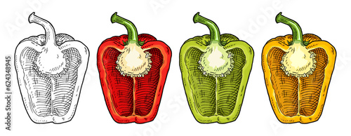 Half red, green, yellow sweet bell peppers. Vintage vector engraving