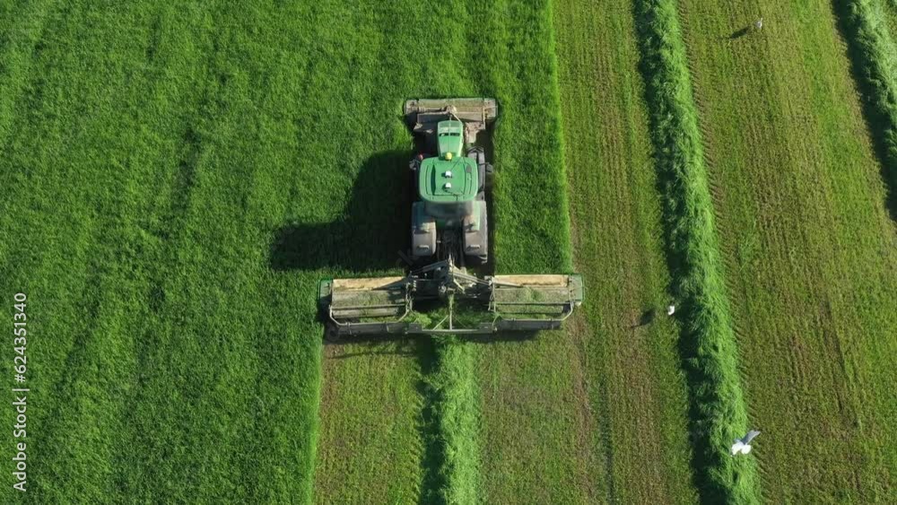 Modern tractor machine with mower mows fresh green grass for sillage, livestock feed or hay. Farmer work on agricultural field. Tractor on autopilot driving along vertical straight line. Aerial view