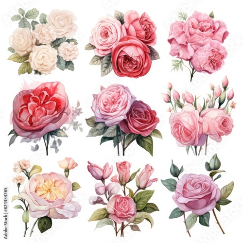 Fototapeta Naklejka Na Ścianę i Meble -  
Beautiful vector watercolor illustration of rose flowers set. Isolated on white background. Generative AI.
