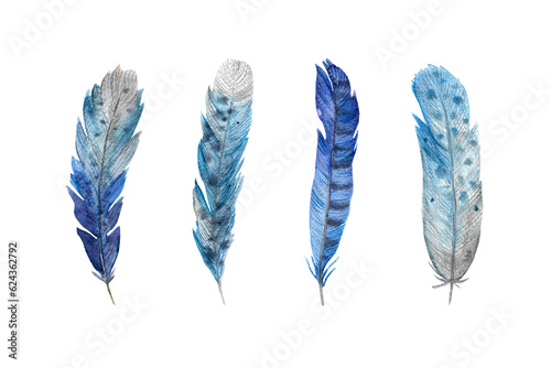 Watercolor set of feathers. Realistic set of four coloured bird feathers..For decoration, cards, invitations, textile, wrapping © Daria