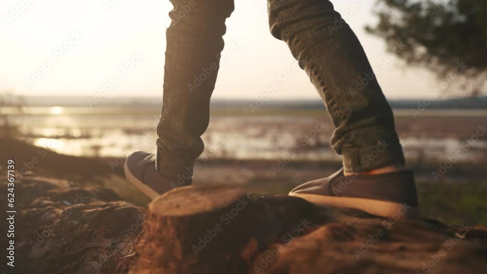 the boy is playing in the forest park. close-up child's legs walk on a log of a fallen tree. happy family childhood dream concept. a child in sneakers walks on a sunlight fallen tree in a park