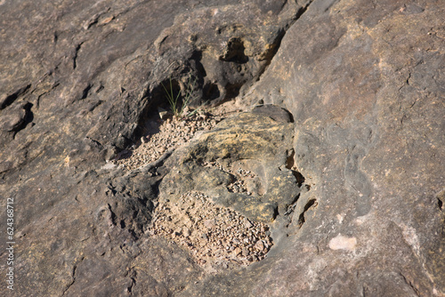 Bolivia dinosaur footprints in Toro Toro