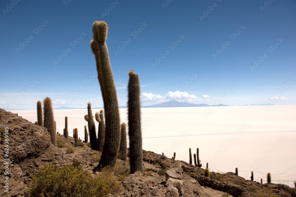 Bolivia Uyuni salt marsh on a sunny winter day Bolivia Uyuni salt marsh on a sunny winter day