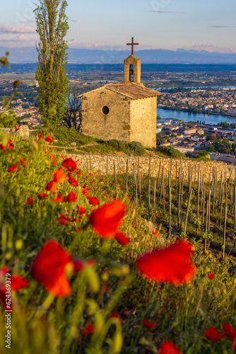 Grand cru vineyard and Chapel of Saint Christopher, Tain l'Hermitage, Rhone-Alpes, France