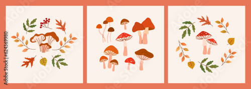 Set of illustrations with autumn elements - various mushrooms and leaves.