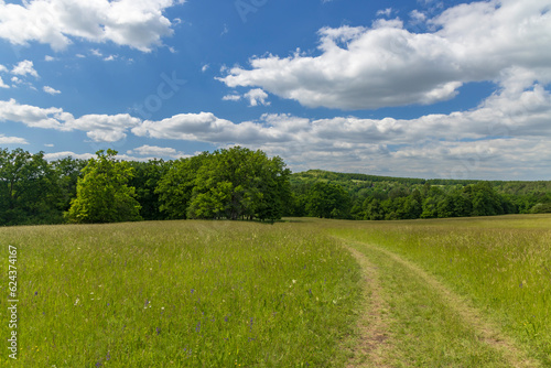 National nature reservation Vojsicke louky near Lucina, White Carpathians, Czech Republic