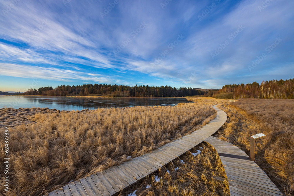 Fototapeta premium nature reserve Olsina, Sumava National Park, Czech Republic