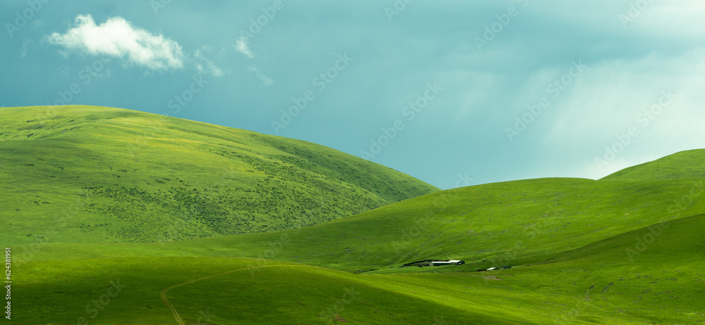 A shepherd's home surrounded by greenery A shepherd's home surrounded by greenery