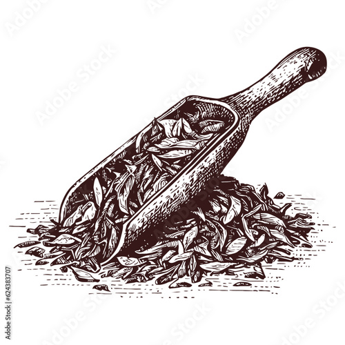 dry tea leaves in a scoop vintage illustration